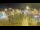 Webcam in Cucq, 1.7 mi away