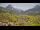 Webcam in Au-Schoppernau, 4.4 mi away