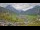 Webcam in Au-Schoppernau, 1.3 mi away