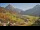 Webcam in Au-Schoppernau, 0.8 km entfernt