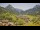 Webcam in Au-Schoppernau, 3.3 km entfernt