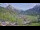 Webcam in Au-Schoppernau, 0.5 km