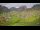 Webcam in Au-Schoppernau, 6.9 km