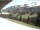 Webcam in Damüls, 5.3 km entfernt