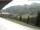 Webcam in Damuels, 7.9 km