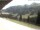 Webcam in Damuels, 3.7 km