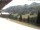 Webcam in Damüls, 5.3 km entfernt