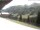 Webcam in Damüls, 7.6 km