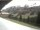 Webcam in Damuels, 2.9 mi away