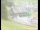 Webcam in Lech, 0.2 mi away