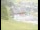 Webcam in Lech, 1.5 km