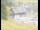 Webcam in Lech, 0.5 km entfernt