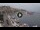 Webcam in Kavala, 507.7 km entfernt