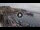 Webcam in Kavala, 413 km