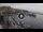 Webcam in Kavala, 501.6 km entfernt