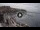 Webcam in Kavala, 366.9 km