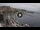 Webcam in Kavala, 372.4 km