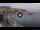 Webcam in Kavala, 334.7 km