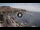 Webcam in Kavala, 475.6 km