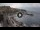 Webcam in Kavala, 32.2 mi away