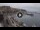 Webcam in Kavala, 507.7 km