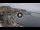 Webcam in Kavala, 416.7 km