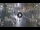 Webcam in Rom, 1.1 km entfernt