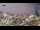 Webcam in Aljezur, 12.6 mi away