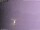 Webcam in Benillup, 18.1 mi away