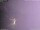 Webcam in Benillup, 28.8 km