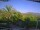 Webcam in Benillup, 21.4 km