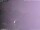 Webcam in Benillup, 8.2 mi away