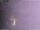 Webcam in Benillup, 78.6 km