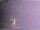 Webcam in Benillup, 19.6 mi away