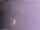 Webcam in Benillup, 12.9 mi away