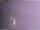 Webcam in Benillup, 24.5 mi away