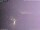 Webcam in Benillup, 18.1 mi away