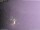 Webcam in Benillup, 0 km