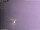 Webcam in Benillup, 18.1 mi away
