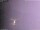 Webcam in Benillup, 12.9 mi away