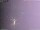 Webcam in Benillup, 22.6 km entfernt