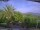 Webcam in Benillup, 5.3 km