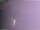 Webcam in Benillup, 18.1 mi away