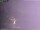 Webcam in Benillup, 50.2 km