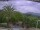 Webcam in Benillup, 20 km