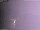 Webcam in Benillup, 10.3 km
