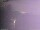 Webcam in Benillup, 19.4 mi away
