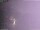 Webcam in Benillup, 33.3 km entfernt