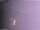 Webcam in Benillup, 2.1 mi away