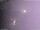 Webcam in Benillup, 5.3 km entfernt